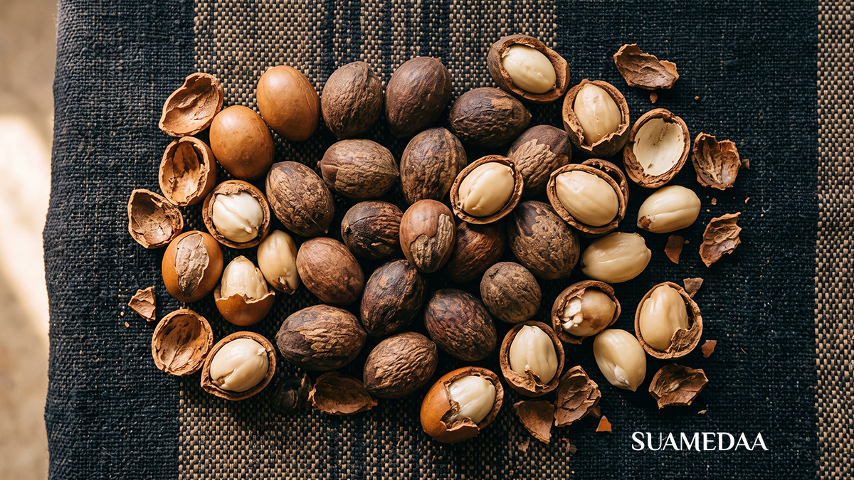 a collection of raw shea nuts in their shells and opened to reveal the pale kernel inside, arranged on a dark woven textile